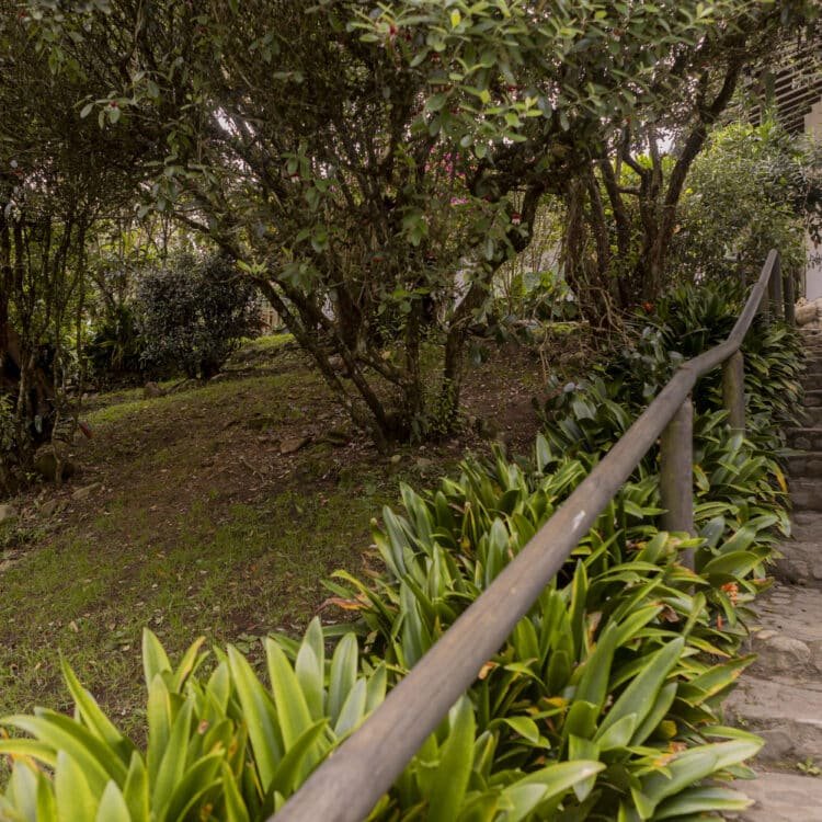 La Liebre el Retiro1