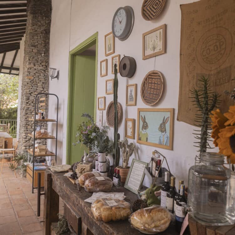 La Liebre el Retiro4